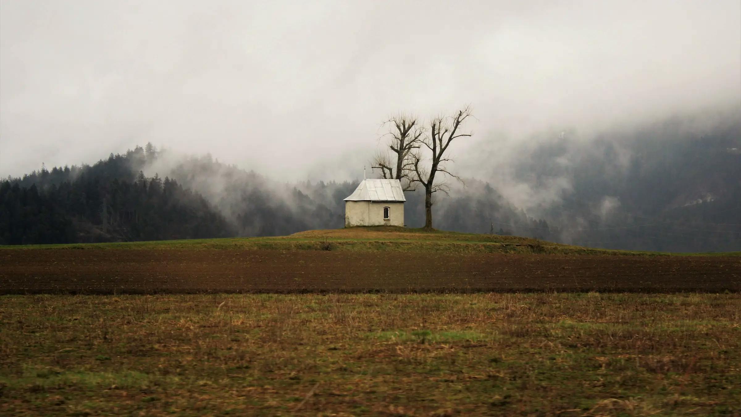 Picture of a little house and a tree